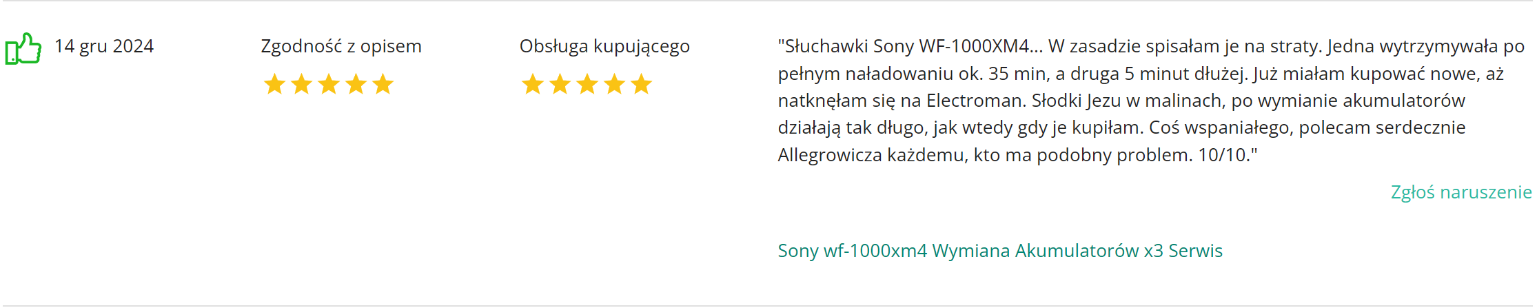 Electroman_opinie_komentarze (1)