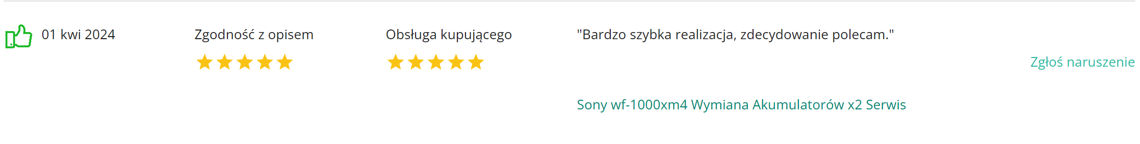 Electroman_opinie_komentarze (13)
