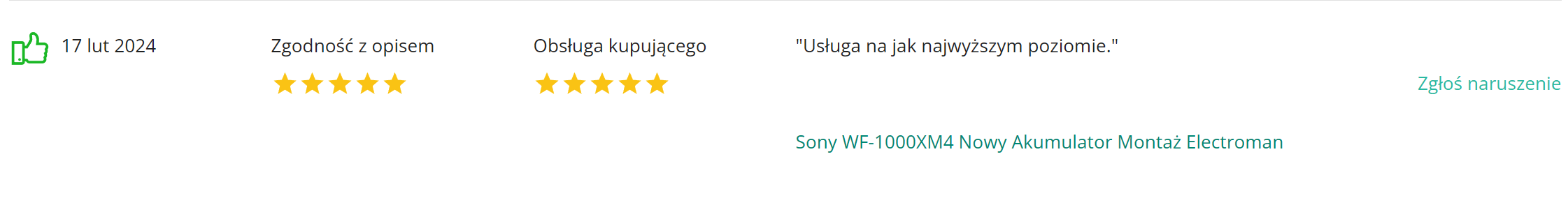 Electroman_opinie_komentarze (14)