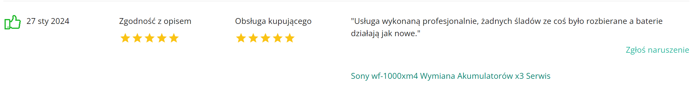 Electroman_opinie_komentarze (15)