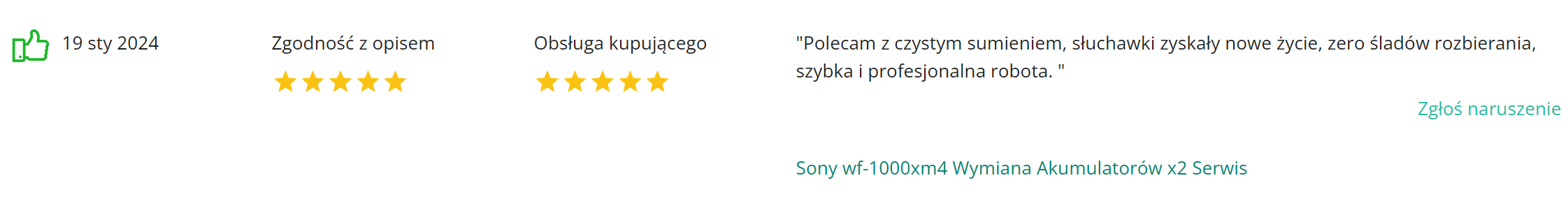 Electroman_opinie_komentarze (16)