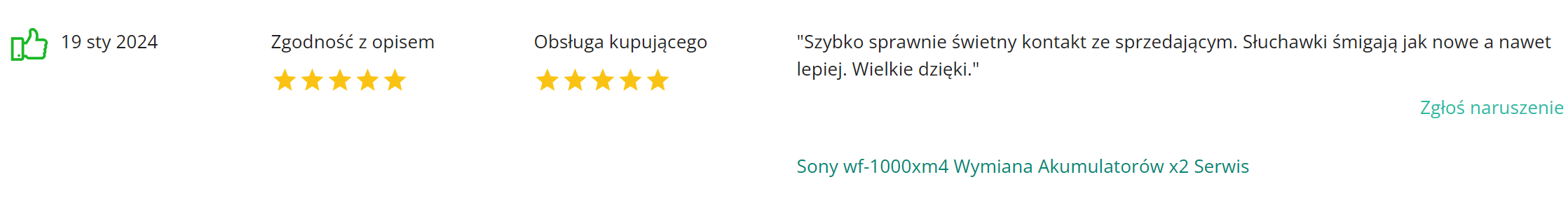 Electroman_opinie_komentarze (17)