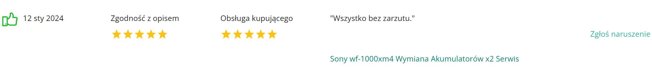 Electroman_opinie_komentarze (18)
