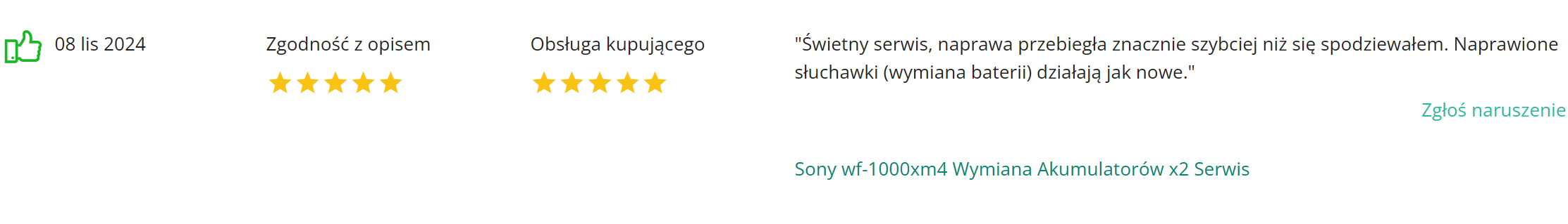 Electroman_opinie_komentarze (3)