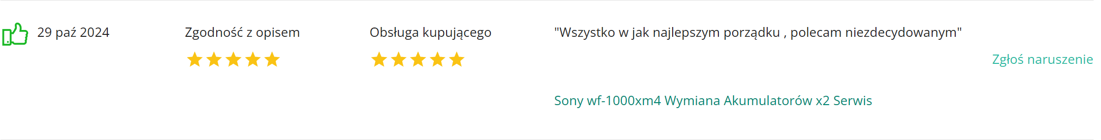 Electroman_opinie_komentarze (4)