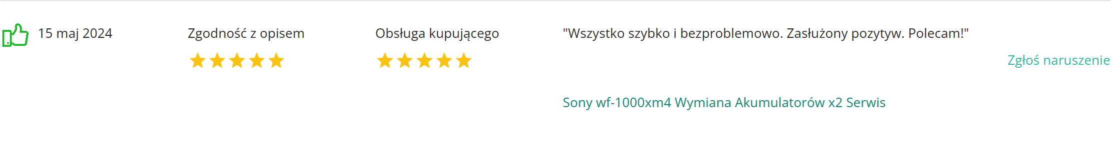 Electroman_opinie_komentarze (6)
